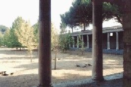 Gynasium (Right)