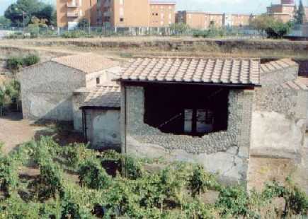 Boscoreale Farmstead, from Further Down Access Ramp.