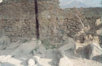 Fugitives Garden Body Pictures