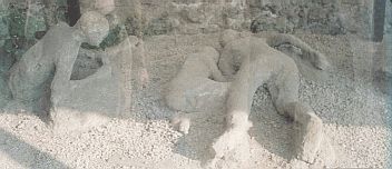 Bodies through the Glass Case