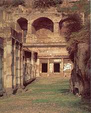 Palestra, Gymnasium.